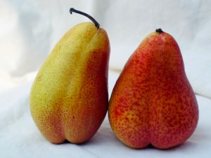 Anal Sex Guide Anal Sex Guide