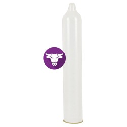 Secura Kondome El Toro Performance Ring x24 Condoms Secura Kondome El Toro Performance Ring x24 Condoms
