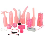Dirty Dozen Sex Toy Kit Pink Dirty Dozen Sex Toy Kit Pink