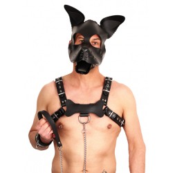 The Red Leather Puppy Dog Mask The Red Leather Puppy Dog Mask