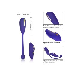 Impulse Intimate Estim Remote Kegel Exerciser Impulse Intimate Estim Remote Kegel Exerciser
