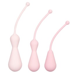 Inspire Weighted Silicone Kegel Training Kit Inspire Weighted Silicone Kegel Training Kit